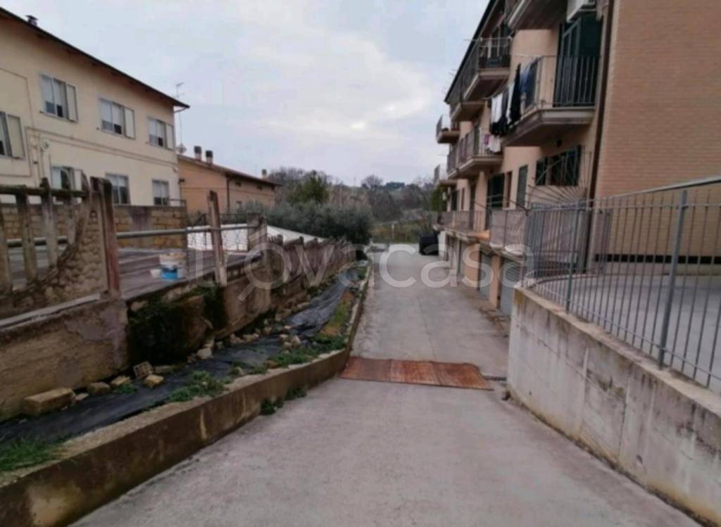 immagine annuncio 8 di 12