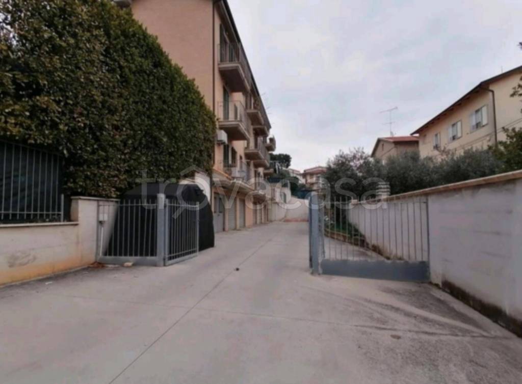 immagine annuncio 9 di 12