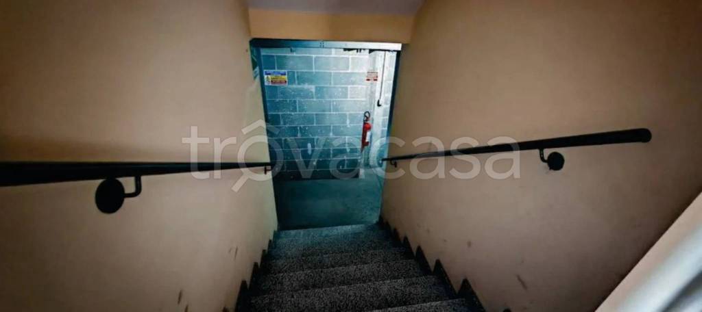 immagine annuncio 10 di 14