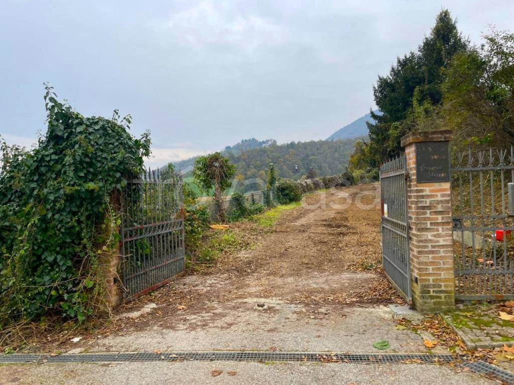 immagine annuncio 11 di 13