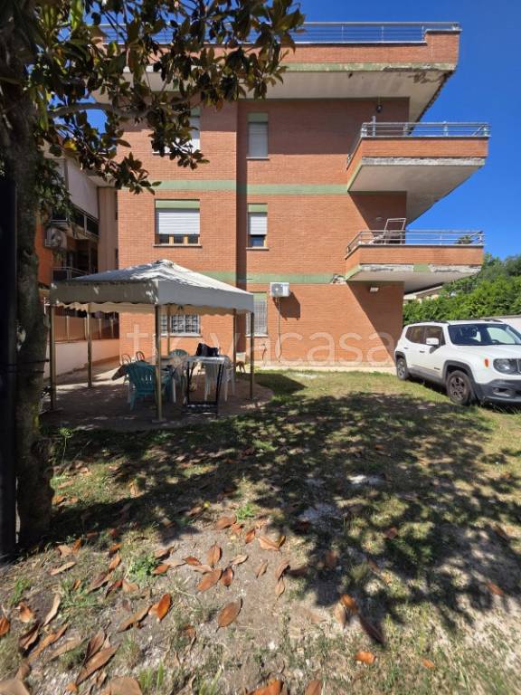 immagine annuncio 9 di 14