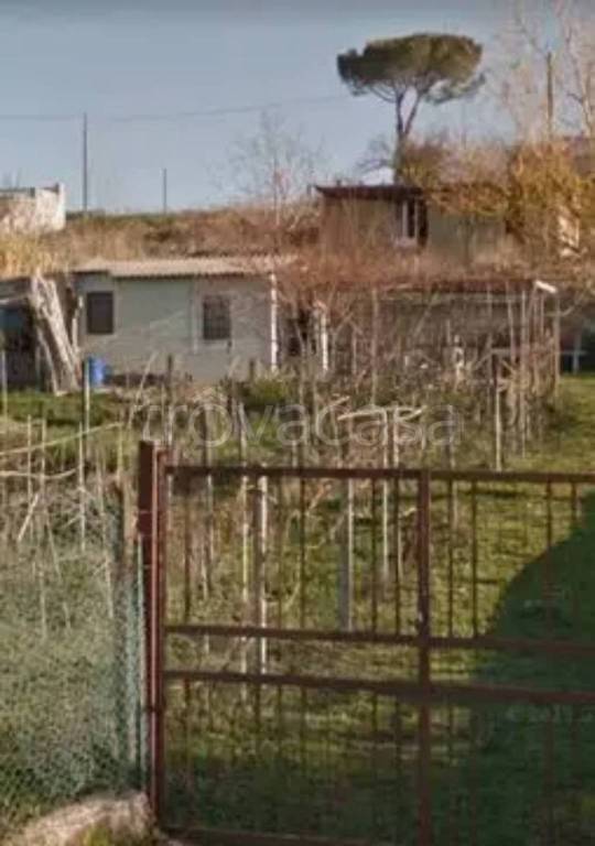immagine annuncio 4 di 8