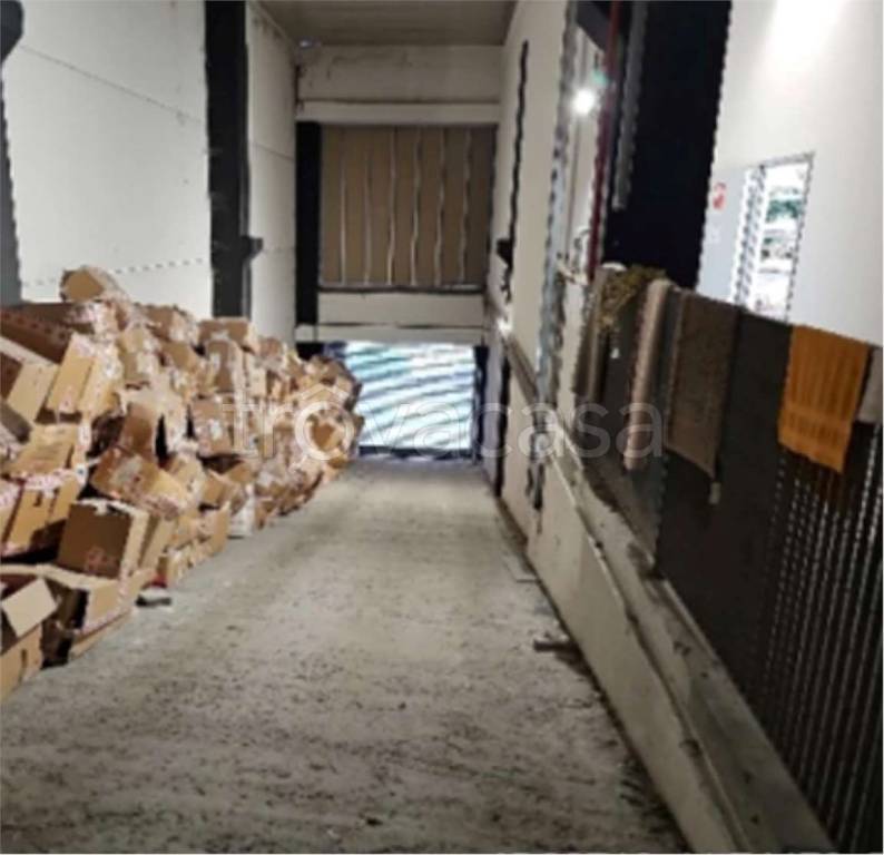immagine annuncio 8 di 14