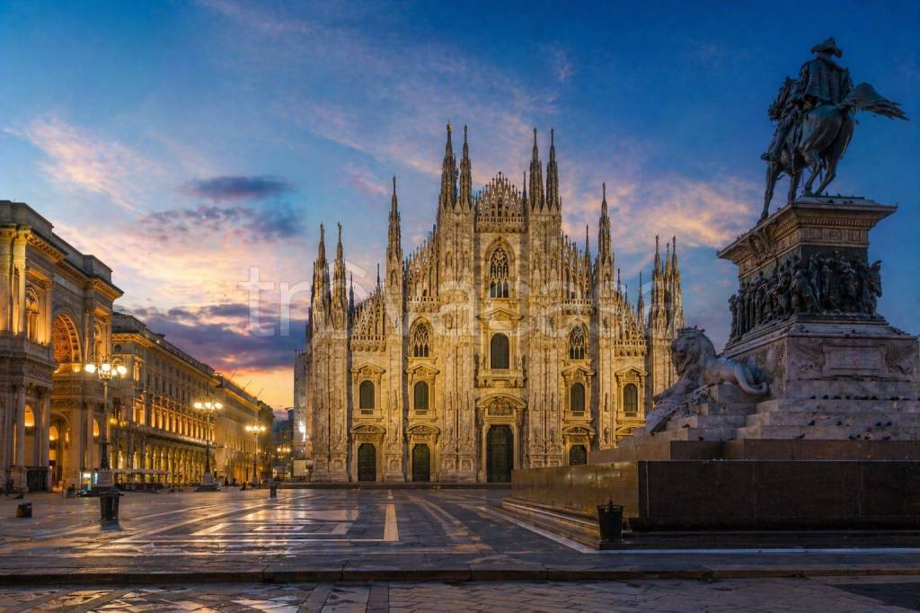 immagine annuncio 7 di 14