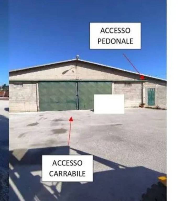immagine annuncio 1 di 14