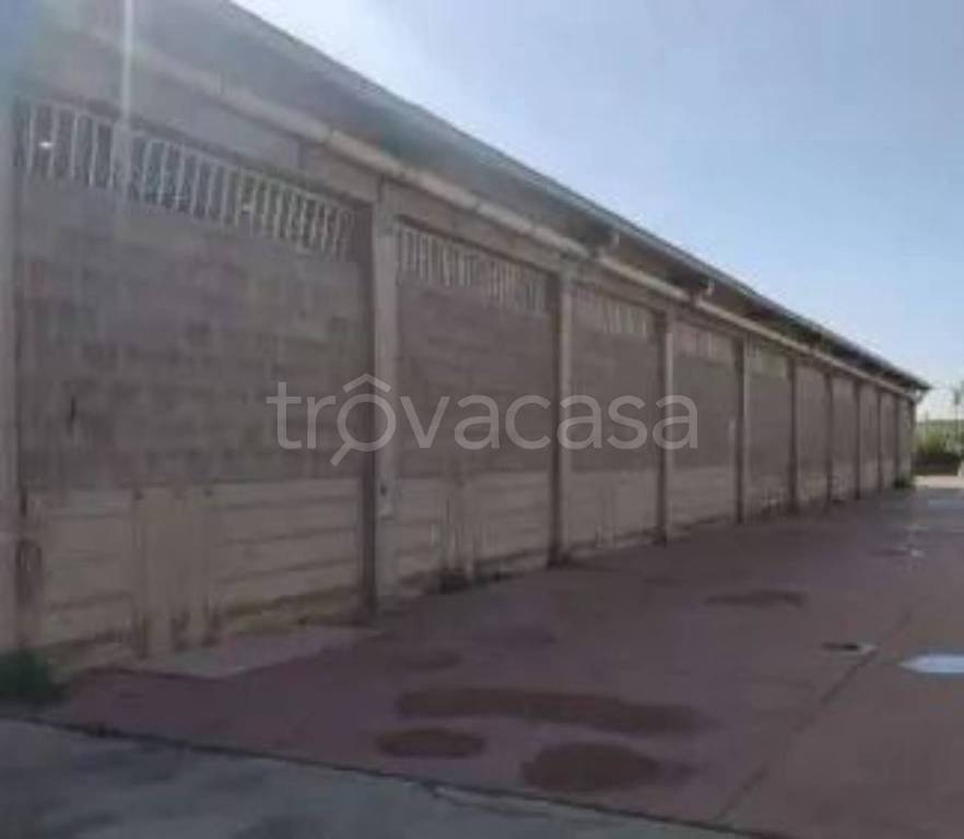 immagine annuncio 8 di 14