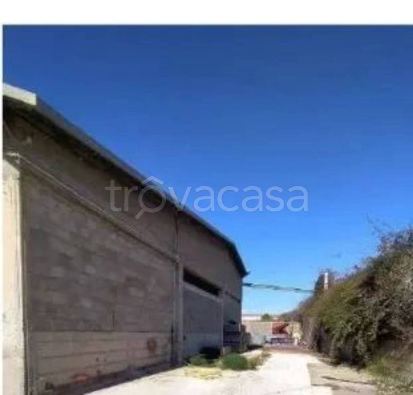 immagine annuncio 9 di 14