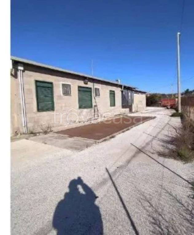 immagine annuncio 11 di 14
