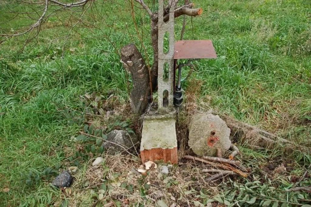 immagine annuncio 13 di 14