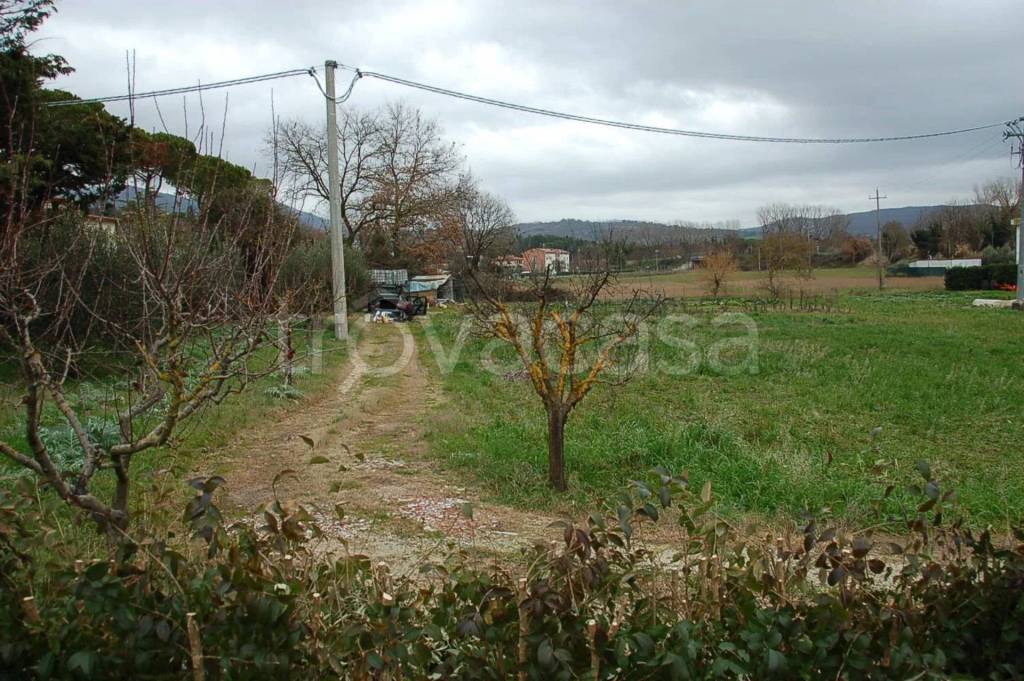 immagine annuncio 6 di 14