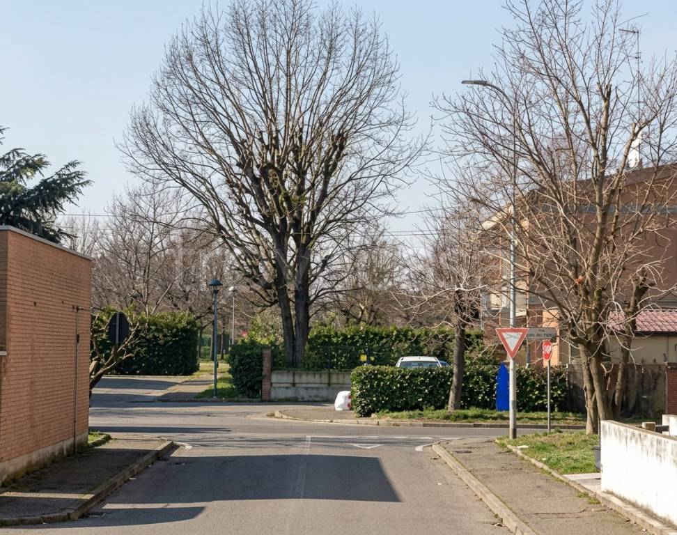 immagine annuncio 2 di 12