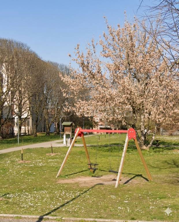 immagine annuncio 5 di 12