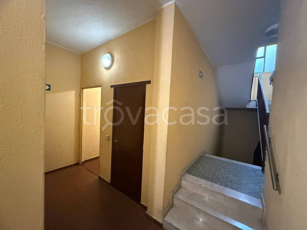 immagine annuncio 4 di 7