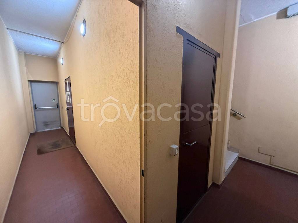 immagine annuncio 5 di 7