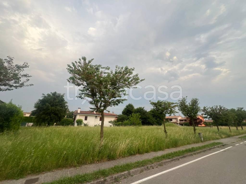 immagine annuncio 5 di 7