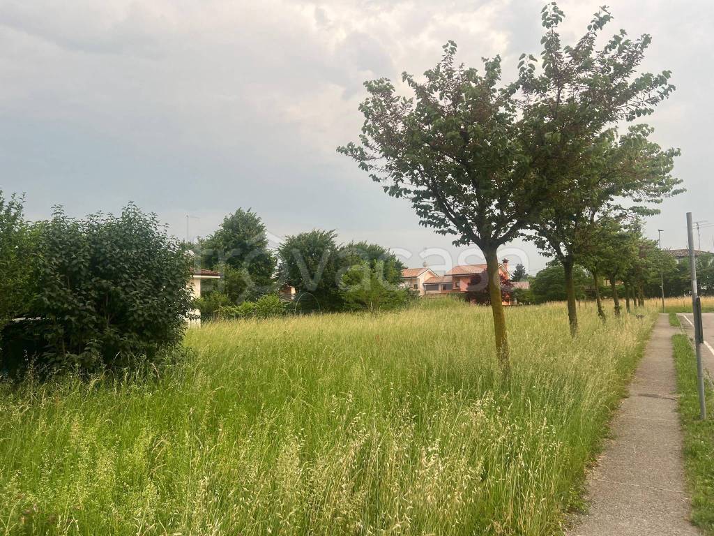 immagine annuncio 3 di 8