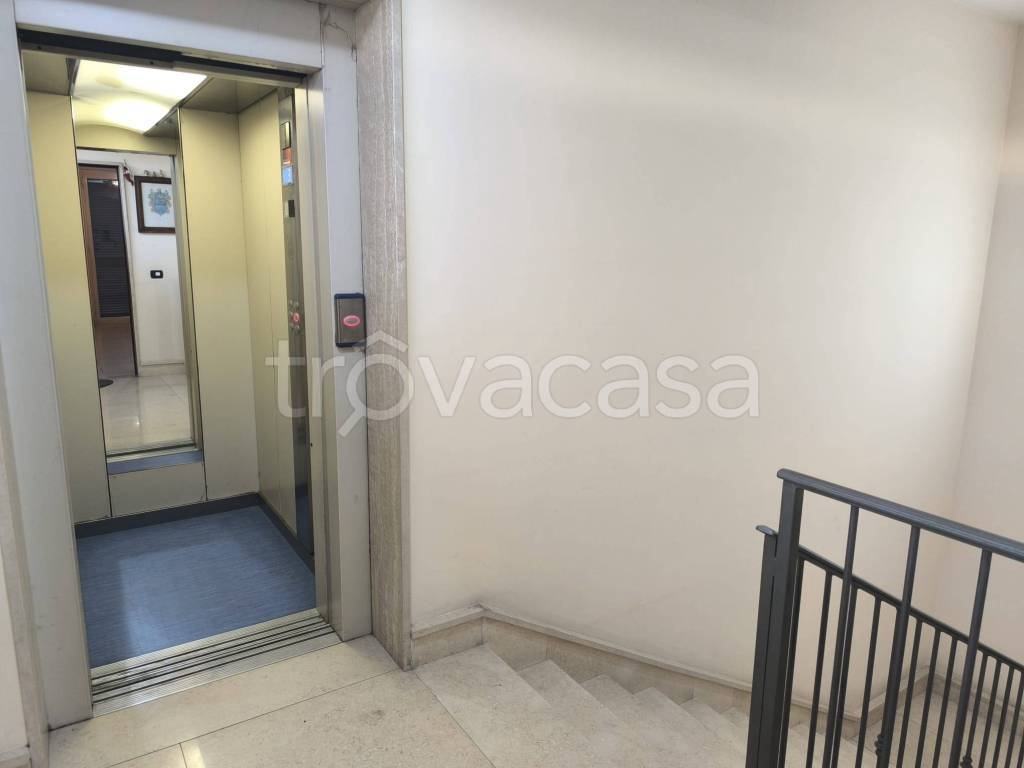 immagine annuncio 12 di 14
