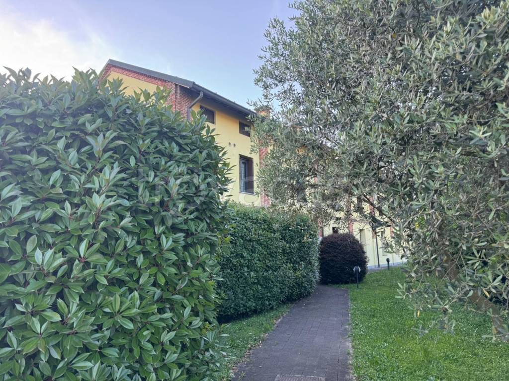 immagine annuncio 10 di 12