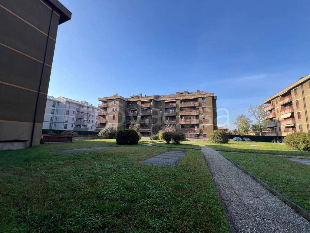 immagine annuncio 5 di 15