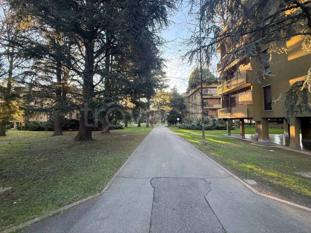immagine annuncio 9 di 14