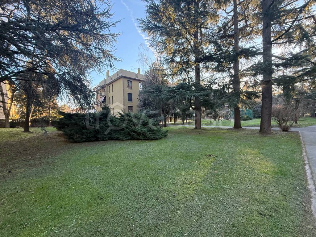 immagine annuncio 10 di 14