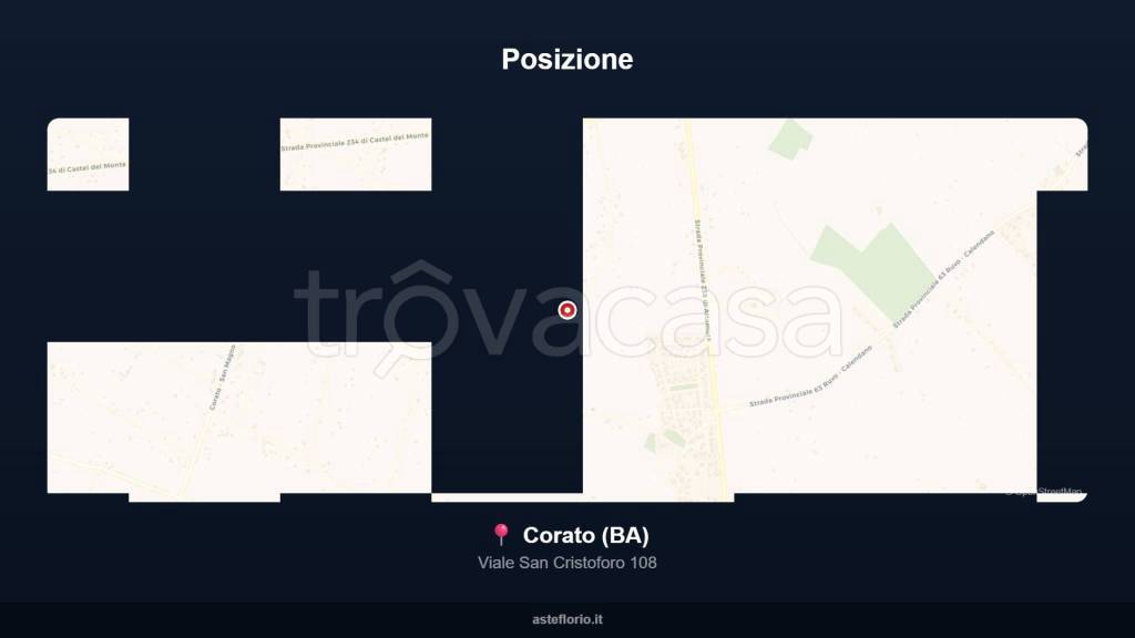 immagine annuncio 12 di 15