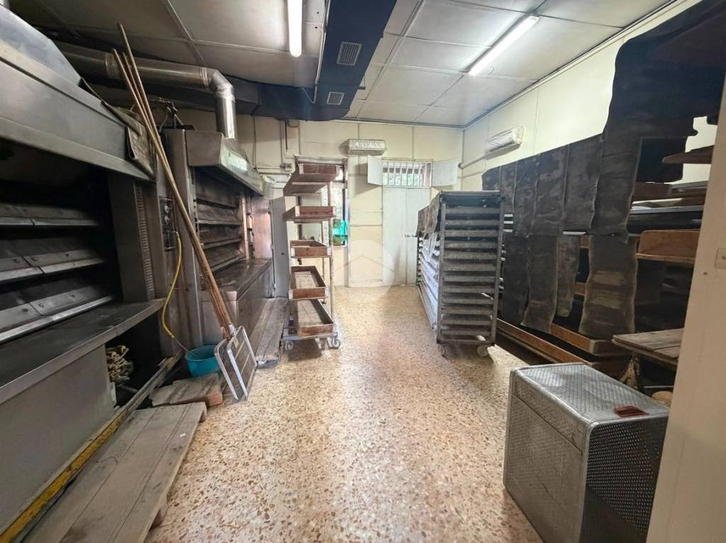 immagine annuncio 4 di 12