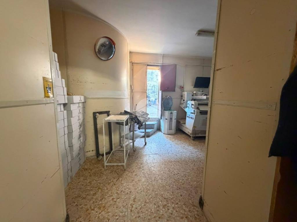 immagine annuncio 5 di 12