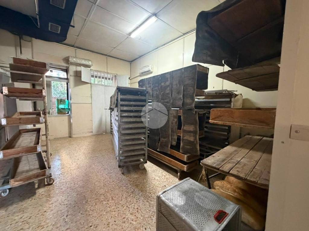 immagine annuncio 7 di 12