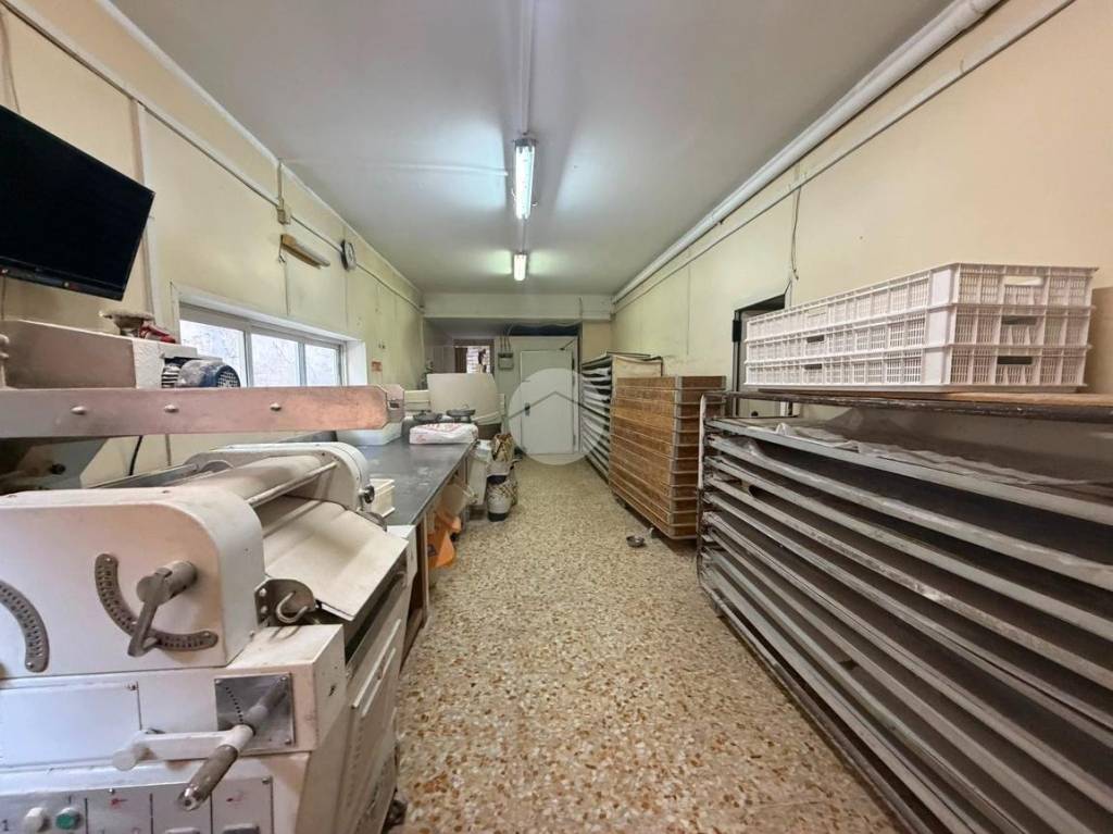 immagine annuncio 8 di 12