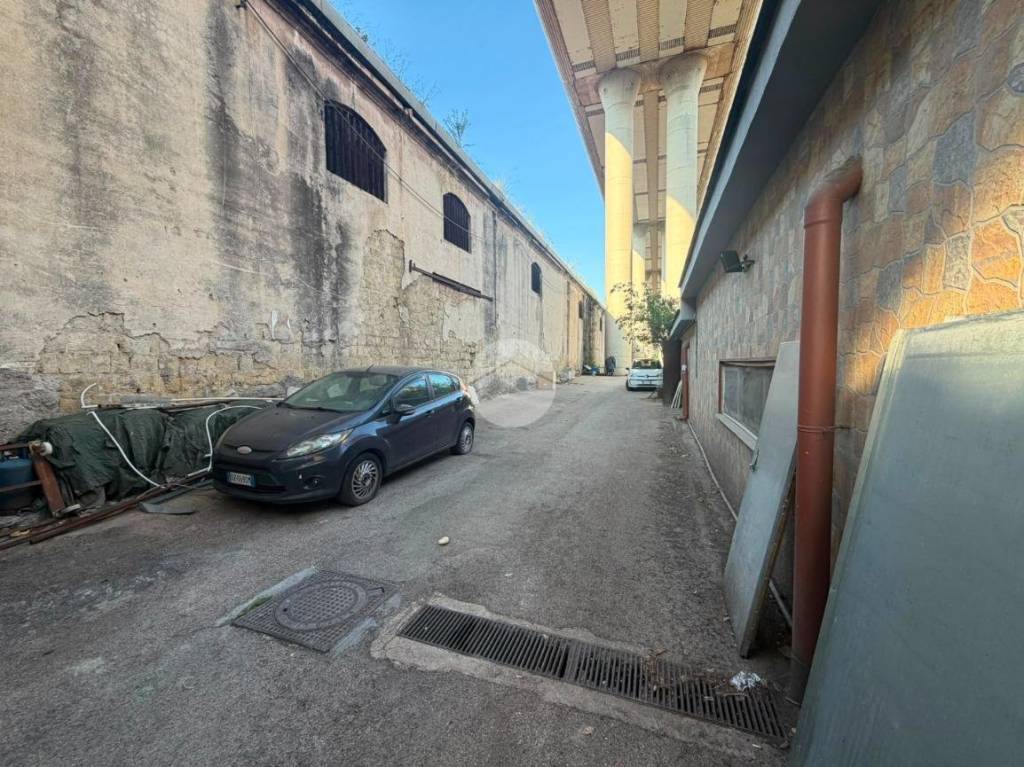 immagine annuncio 11 di 12