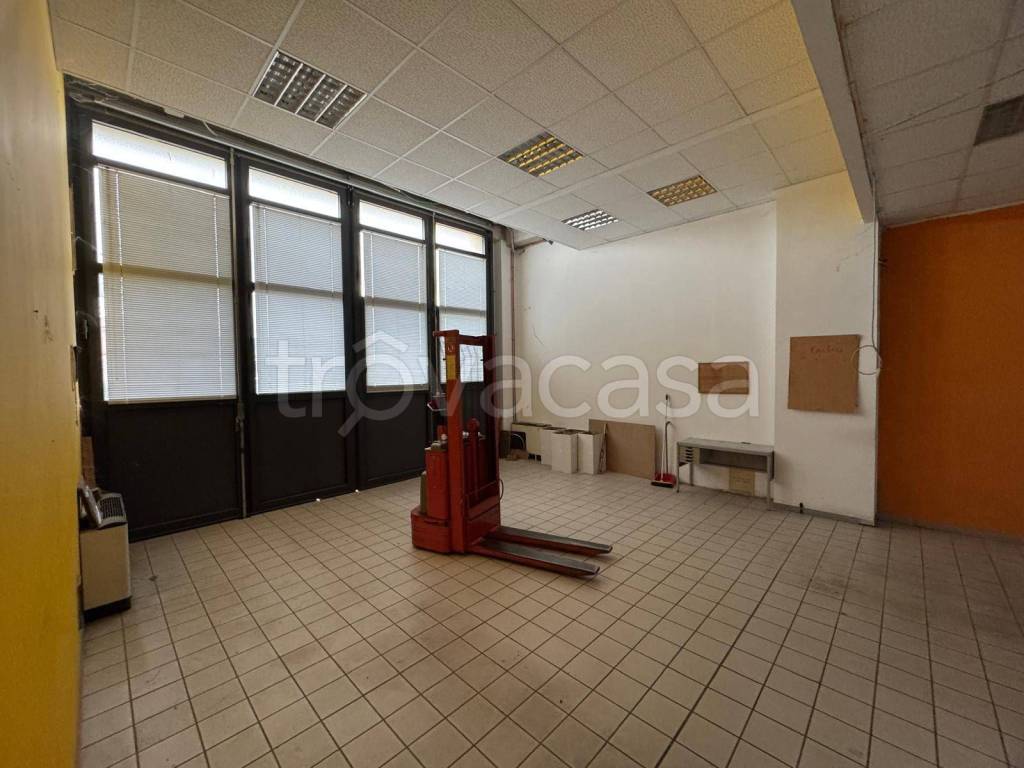 immagine annuncio 1 di 13