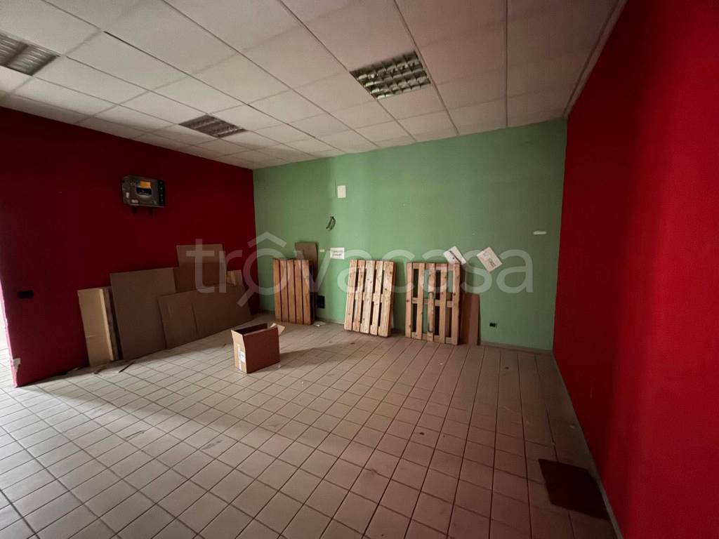 immagine annuncio 4 di 13