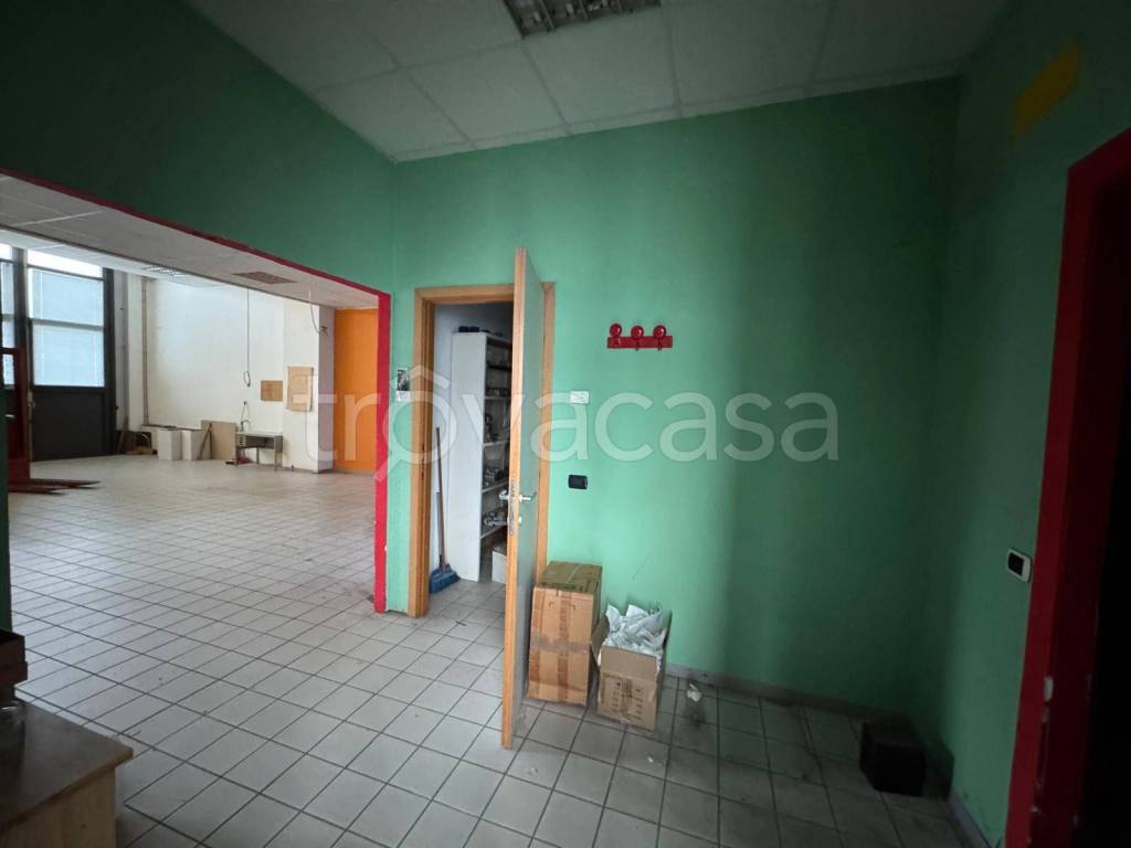 immagine annuncio 7 di 13