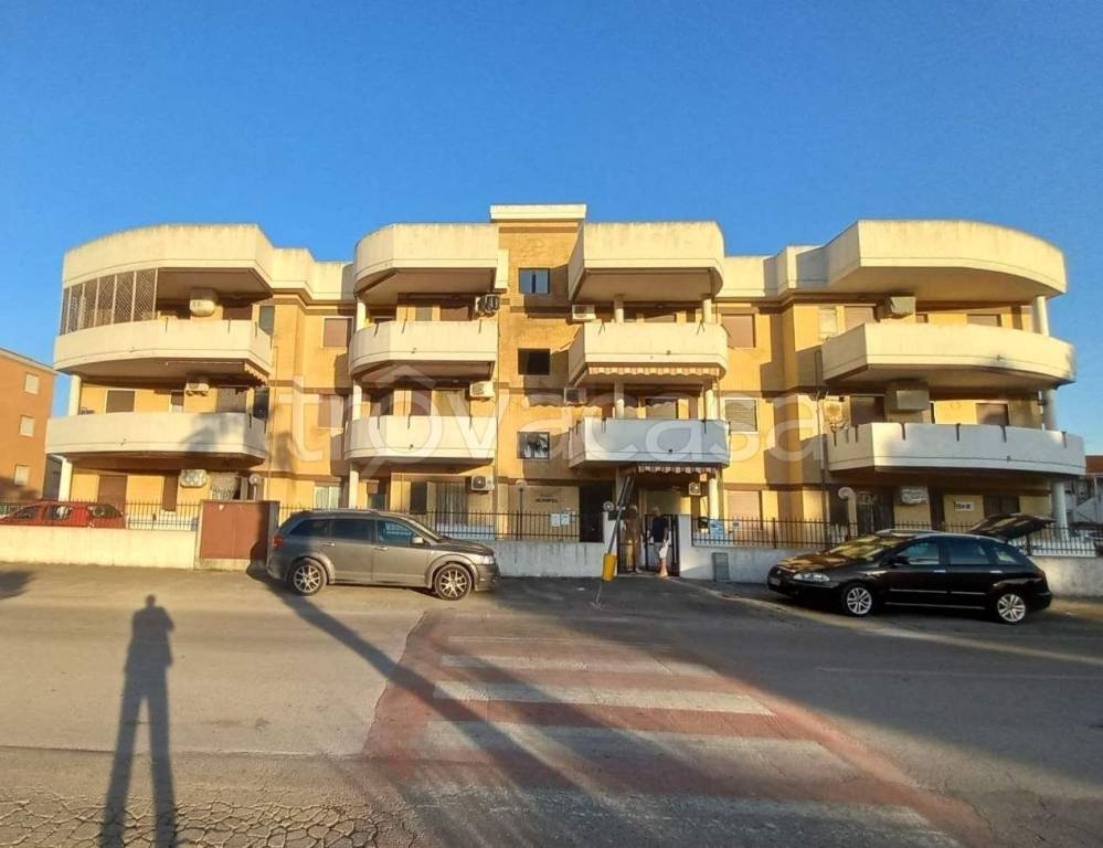 immagine annuncio 11 di 12
