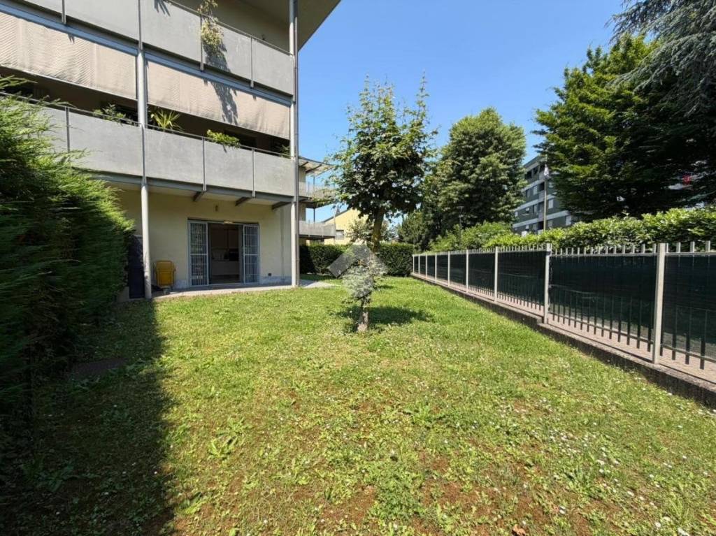 immagine annuncio 11 di 15