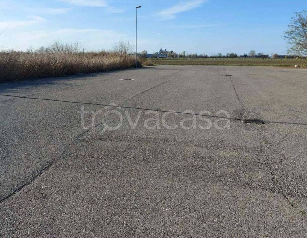 immagine annuncio 6 di 12
