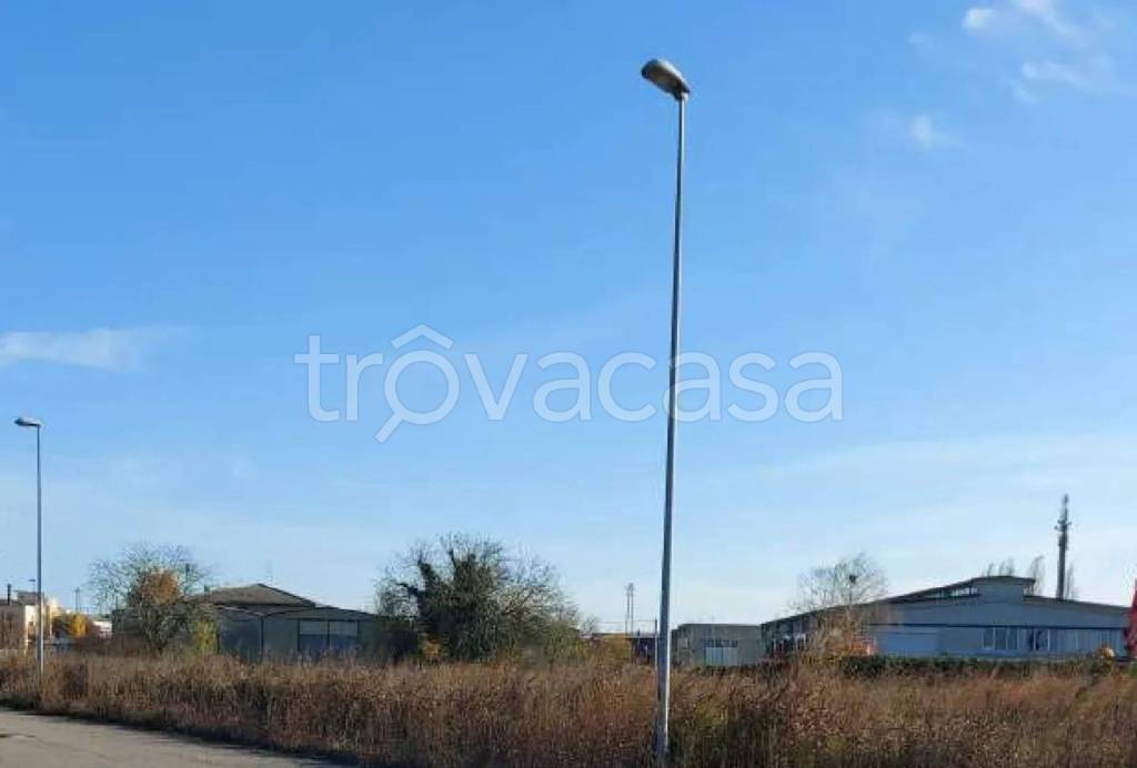 immagine annuncio 7 di 12