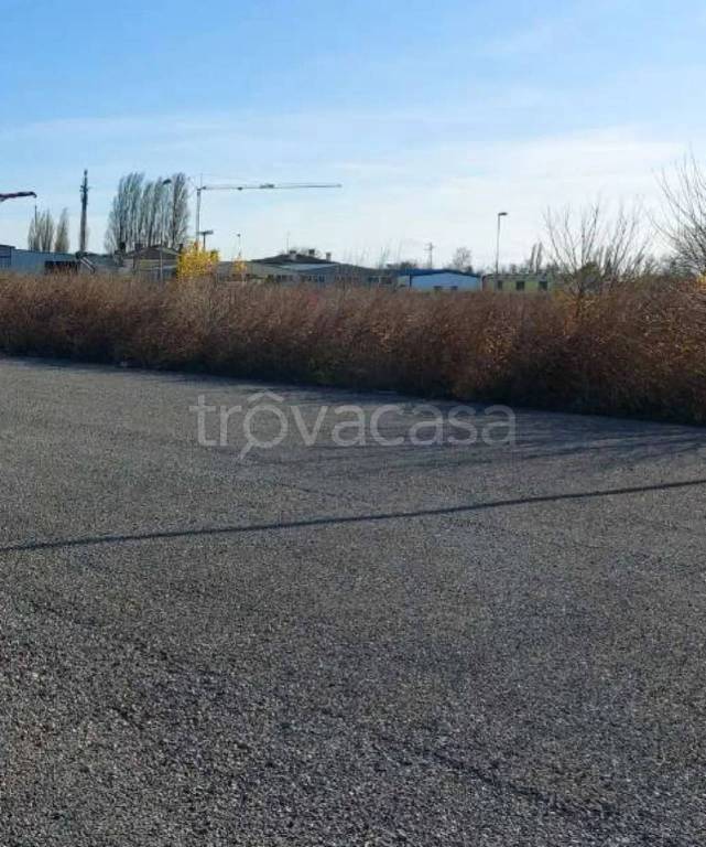 immagine annuncio 8 di 12
