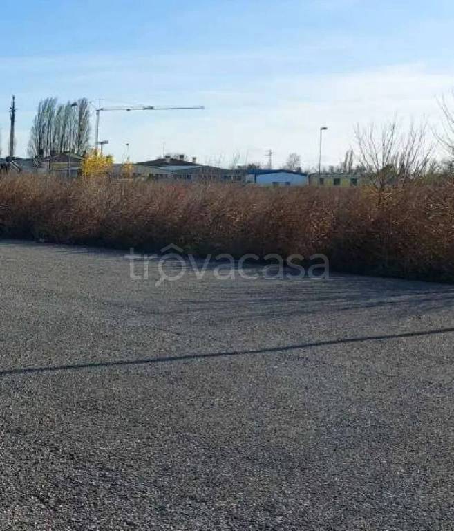 immagine annuncio 6 di 11
