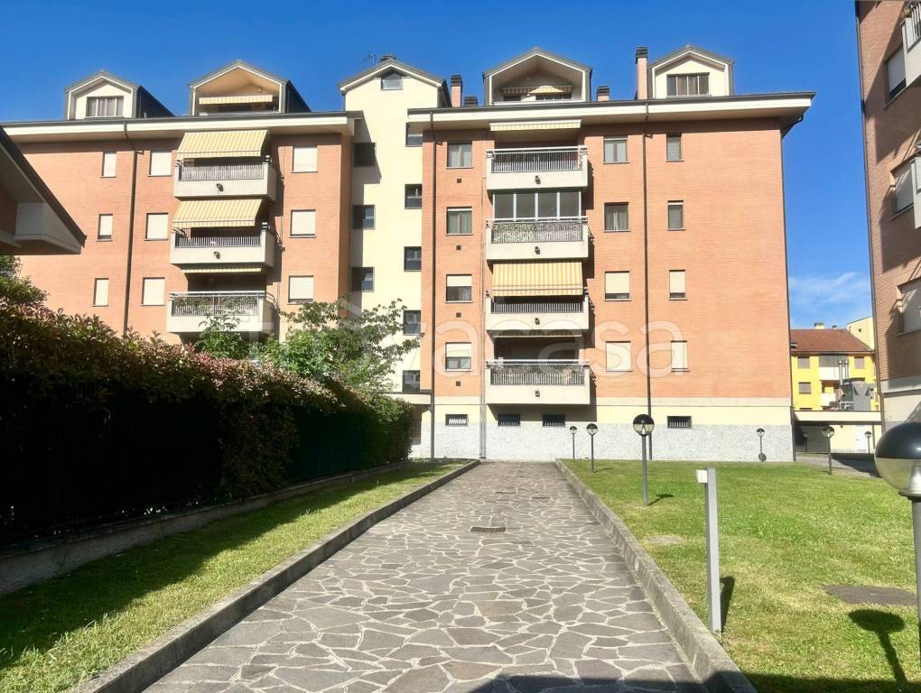 immagine annuncio 1 di 15