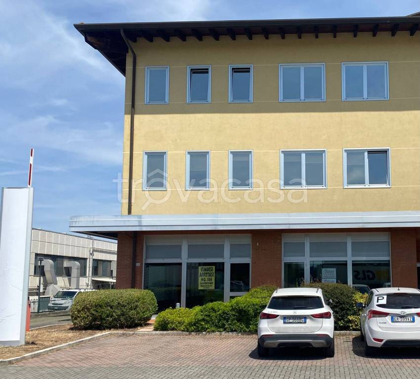 immagine annuncio 10 di 11
