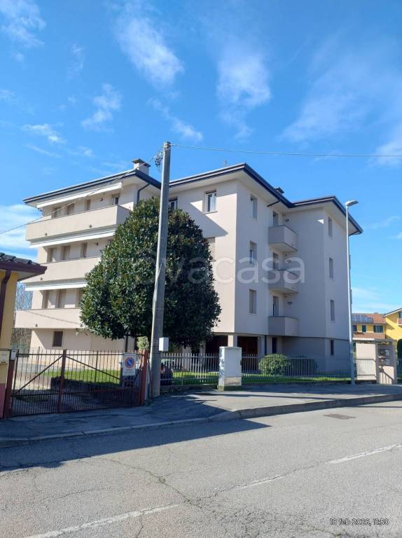 immagine annuncio 2 di 14
