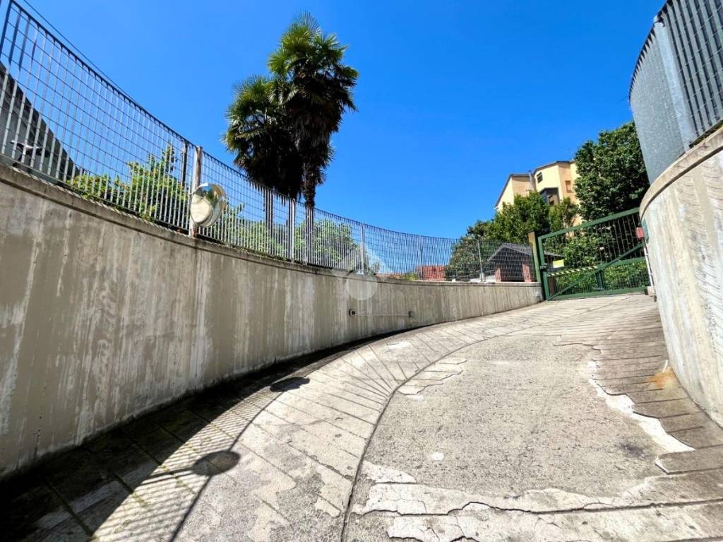 immagine annuncio 9 di 11