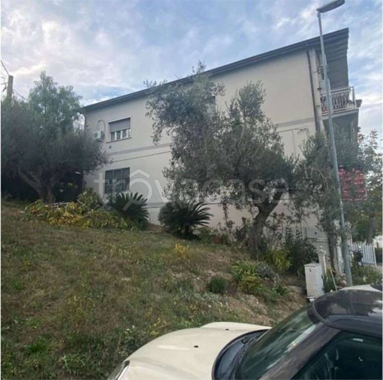 immagine annuncio 6 di 14