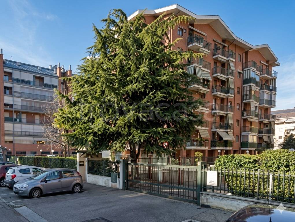 immagine annuncio 10 di 13