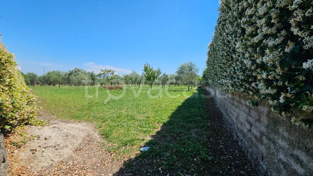 immagine annuncio 11 di 12
