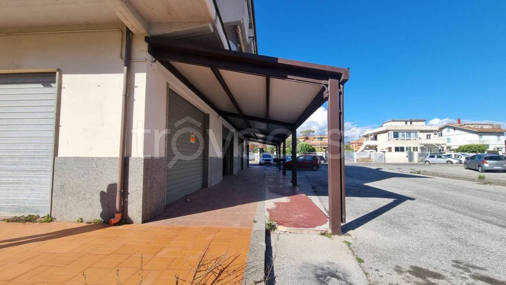 immagine annuncio 2 di 12