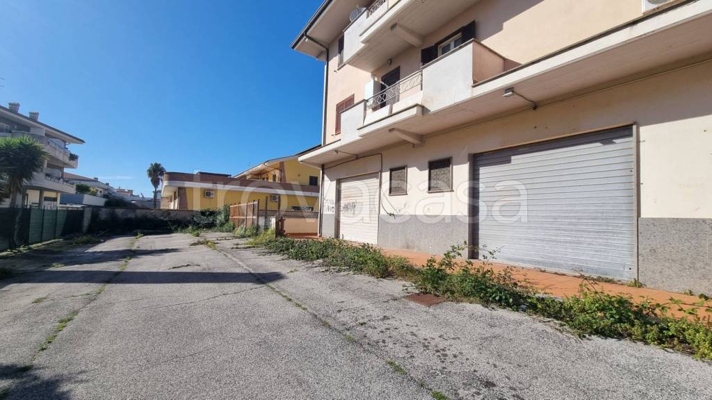 immagine annuncio 7 di 12