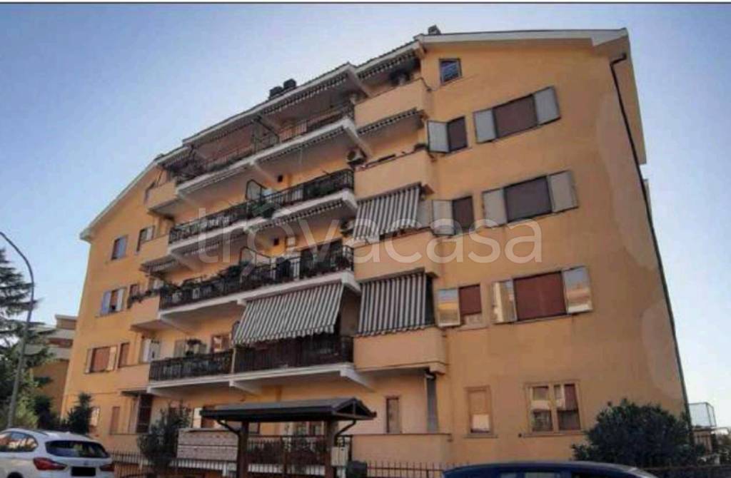 immagine annuncio 9 di 10